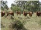 2339 ‘Junction Park’ Kokotungo Don River Road, Kokotungo QLD 4702