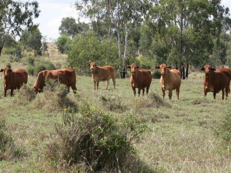 2339 ‘Junction Park’ Kokotungo Don River Road, Kokotungo QLD 4702