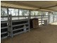 2339 ‘Junction Park’ Kokotungo Don River Road, Kokotungo QLD 4702