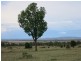 2339 ‘Junction Park’ Kokotungo Don River Road, Kokotungo QLD 4702