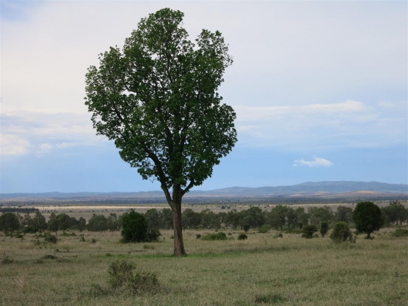 2339 ‘Junction Park’ Kokotungo Don River Road, Kokotungo QLD 4702