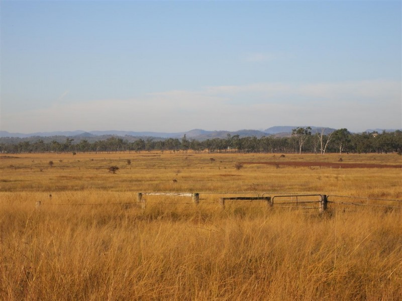 119 Harding Road, Alton Downs QLD 4702