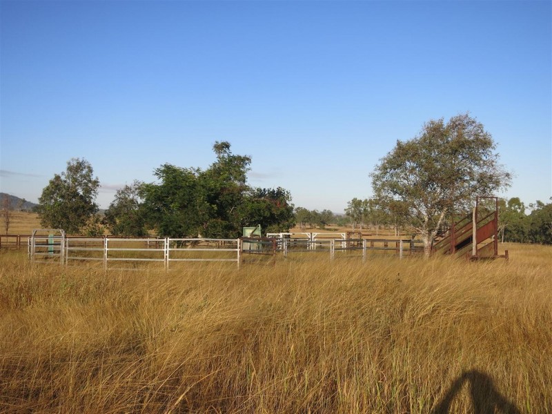 119 Harding Road, Alton Downs QLD 4702