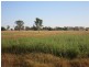 Lot 3 Harding Road, Alton Downs QLD 4702