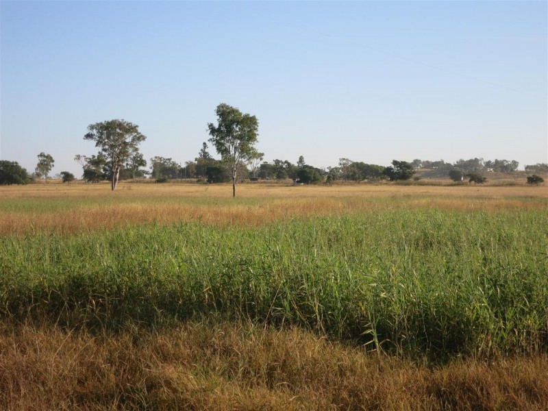 Lot 3 Harding Road, Alton Downs QLD 4702