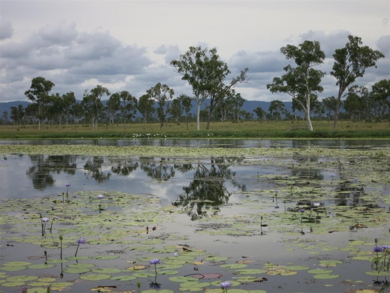Lot 78 Roberts Road, Bajool QLD 4699