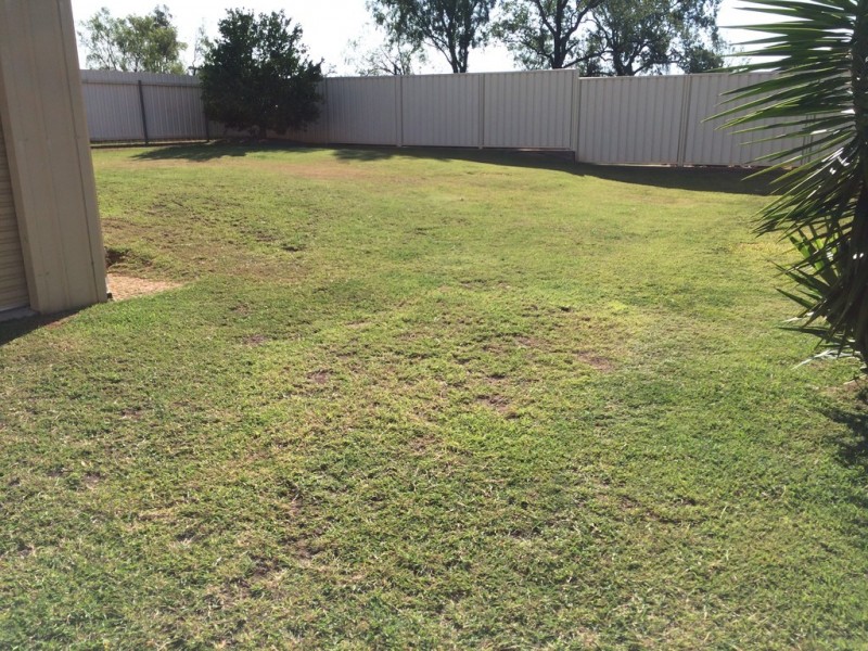 12 Zamia Way, Gracemere QLD 4702