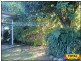 39 Diamond Avenue, Kallangur QLD 4503