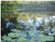 Peachester QLD 4519