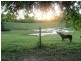 Peachester QLD 4519