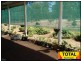 Millmerran QLD 4357