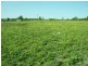 Lot 38 Baron Street, Jondaryan QLD 4403