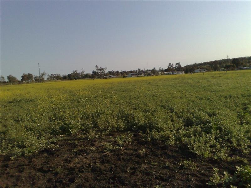 Lot 37 Baron Street, Jondaryan QLD 4403