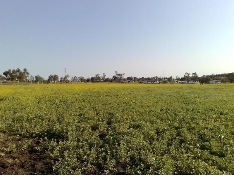 Lot 33 Earl Street, Jondaryan QLD 4403