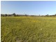 Lot 37 Baron Street, Jondaryan QLD 4403