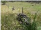 Glenwood QLD 4570