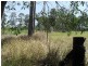 Glenwood QLD 4570
