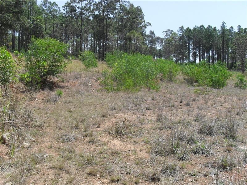 Glenwood QLD 4570