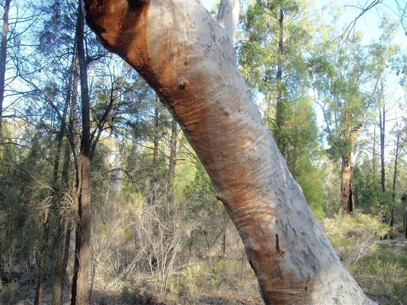 Millmerran QLD 4357