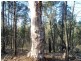 Millmerran QLD 4357