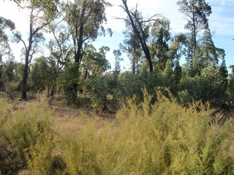 Millmerran QLD 4357