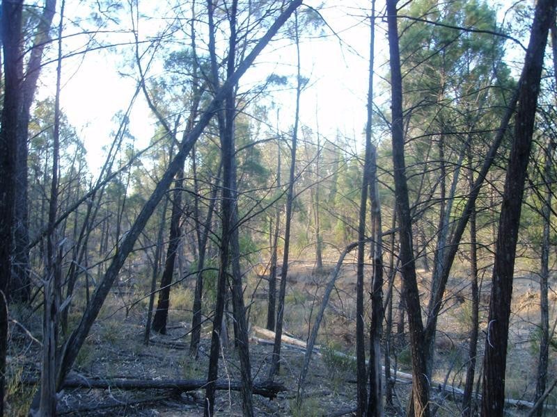 Millmerran QLD 4357