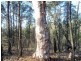 Millmerran QLD 4357