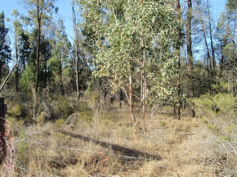 Millmerran QLD 4357