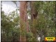 Millmerran QLD 4357