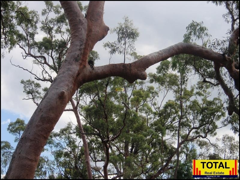 Millmerran QLD 4357