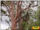 Millmerran QLD 4357