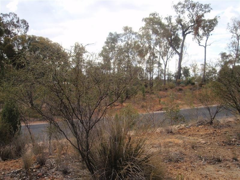 5 Ayres Rock Rd, Millmerran QLD 4357