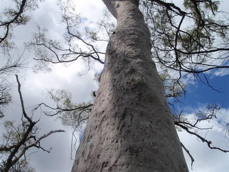 5 Ayres Rock Rd, Millmerran QLD 4357