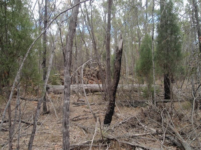 5 Ayres Rock Rd, Millmerran QLD 4357