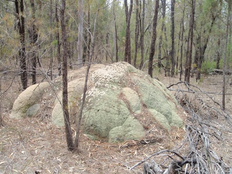 5  Ayres Rock Rd, Millmerran QLD 4357