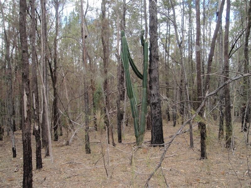 5  Ayres Rock Rd, Millmerran QLD 4357