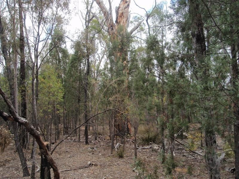 5  Ayres Rock Rd, Millmerran QLD 4357