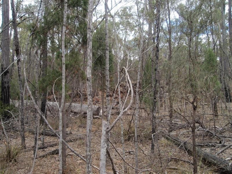 5  Ayres Rock Rd, Millmerran QLD 4357