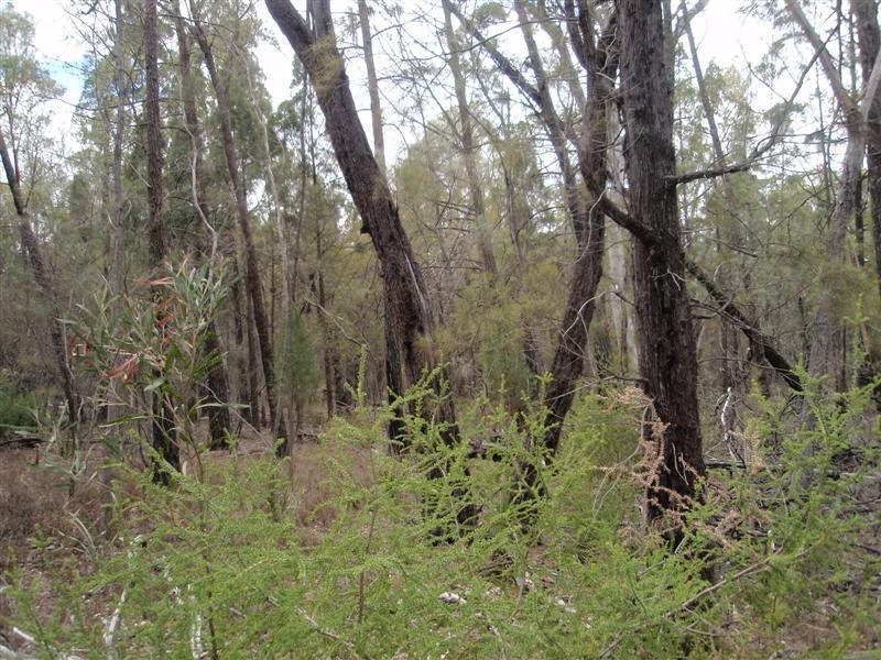 5  Ayres Rock Rd, Millmerran QLD 4357