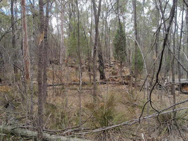 5  Ayres Rock Rd, Millmerran QLD 4357