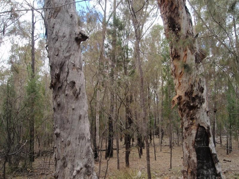 5  Ayres Rock Rd, Millmerran QLD 4357