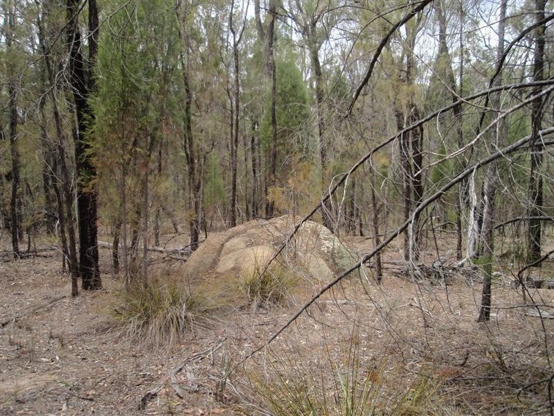 5  Ayres Rock Rd, Millmerran QLD 4357