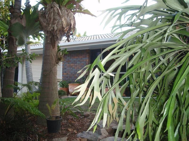 Kallangur QLD 4503