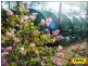 Millmerran QLD 4357