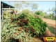 Millmerran QLD 4357