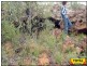 Millmerran QLD 4357