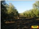 Millmerran QLD 4357