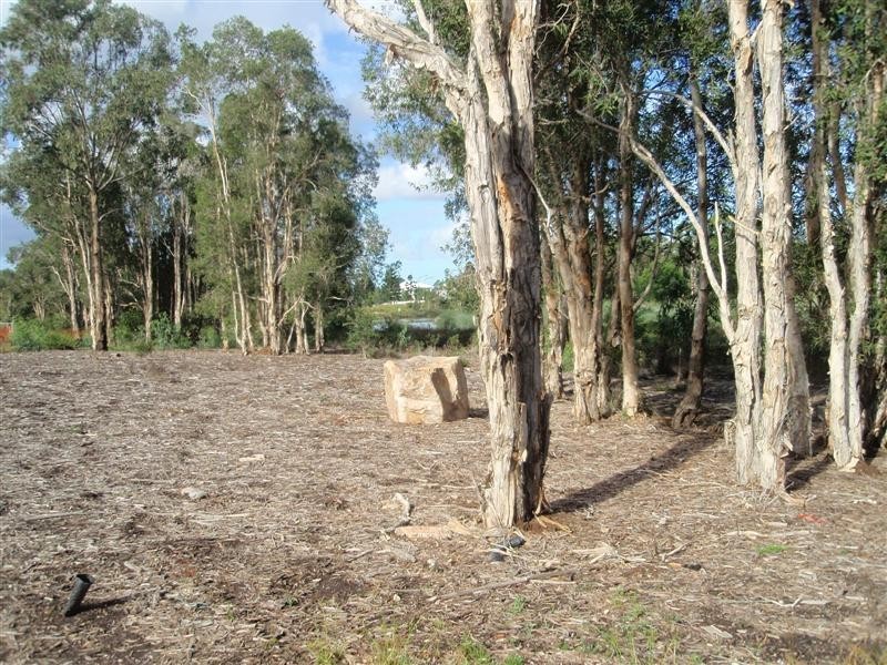 Murrumba Downs QLD 4503