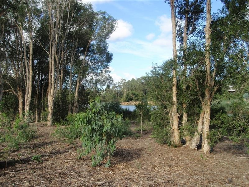 Murrumba Downs QLD 4503