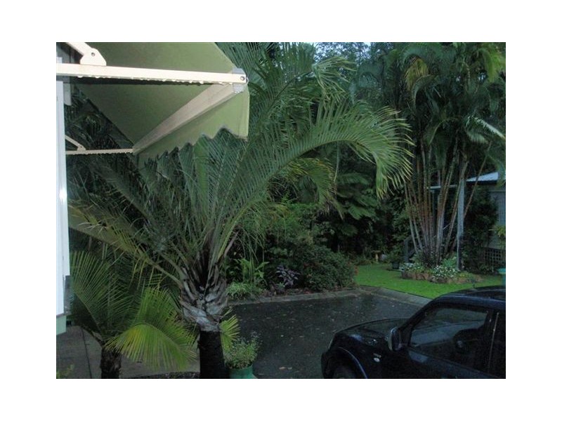 38/71 Owen Creek Road, Forest Glen QLD 4556